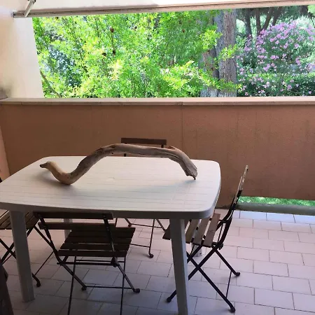In Grosseto 36205